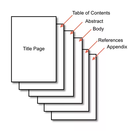 Sections of APA Style Papers graphics.