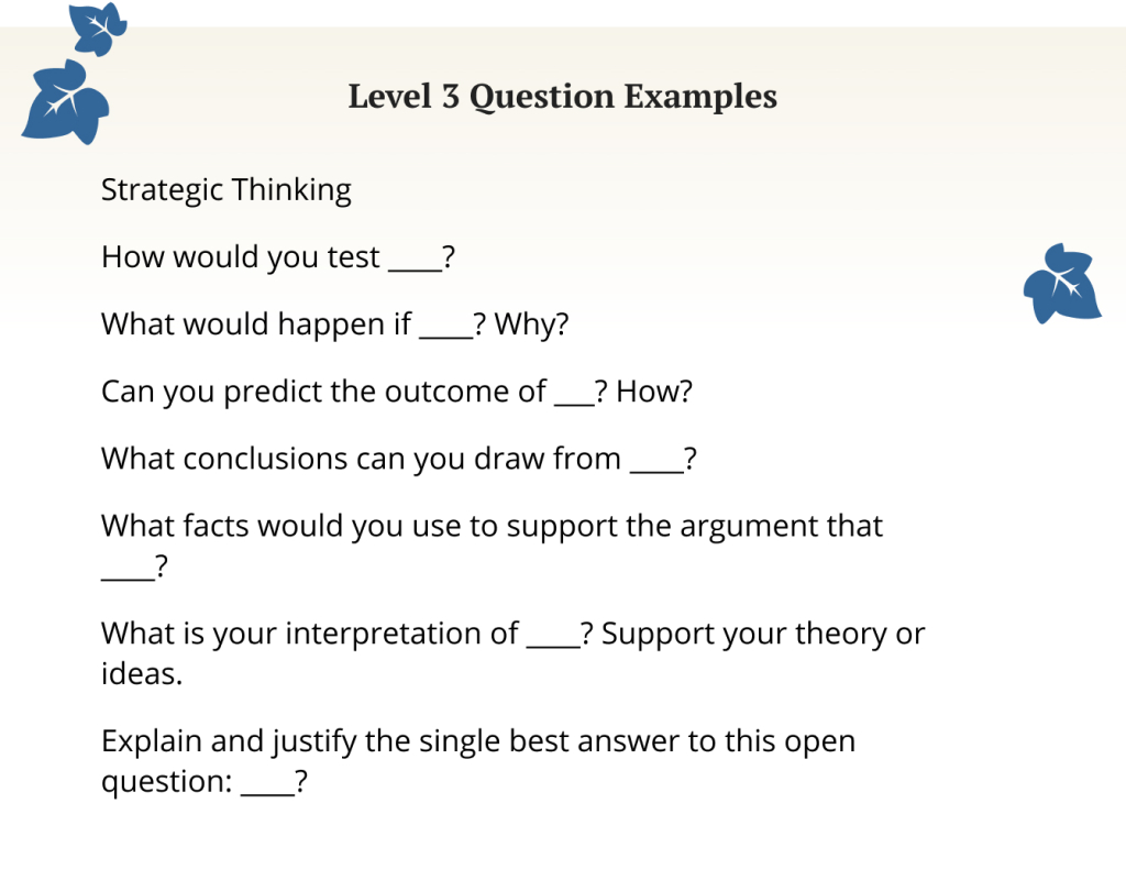 Level 3 question examples. 