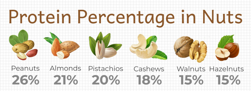 High protein nuts include peanuts, almonds, pistachios, cashews, walnuts, hazelnuts.