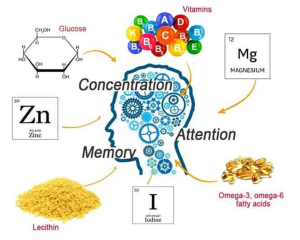 How to Improve Memory: Follow Simple Nutrition Tips!