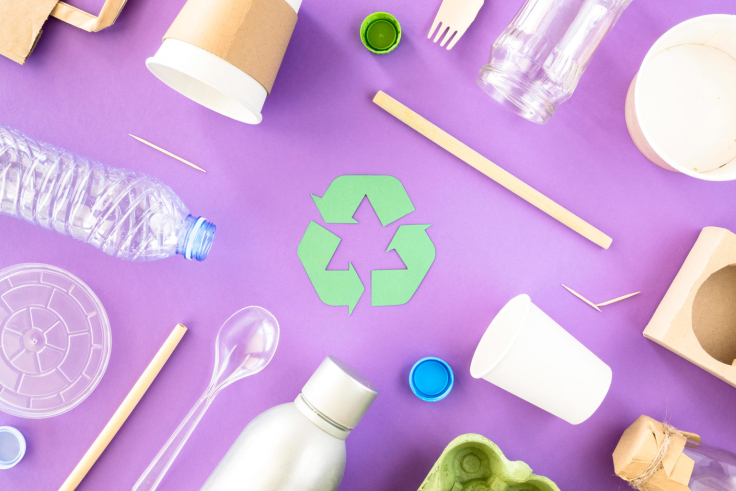 How to Be Sustainable in College: 18 Green Tips for Students