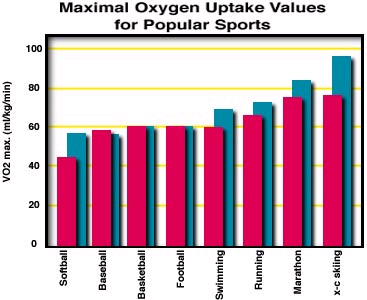 Maximal Oxygen Uptake Values for Popular Sports