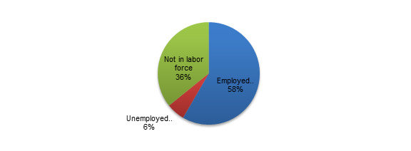 US Employment situation in January 2011