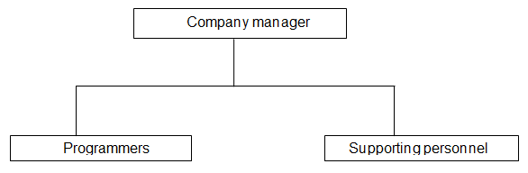 A chart to illustrate company 1 functional organizational structure.
