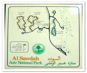 A map located at the entrance of the park to assist visitors in locating specific sites