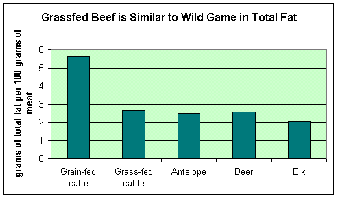 Grass Fed versus Grain and Corn Fed Animals - 2475 Words | Research Paper  Example