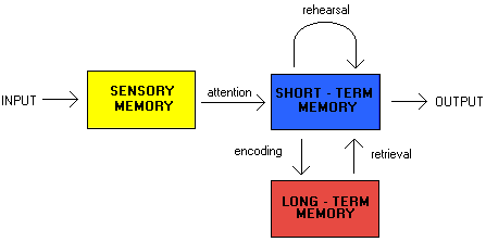 Figurative representation of interconnectivity between encoding and retrieving processes and memory