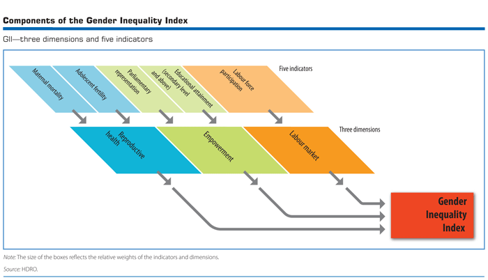 Components of the Gender Inequality Index.