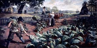 Image showing farming of Tobacco in Jamestown.