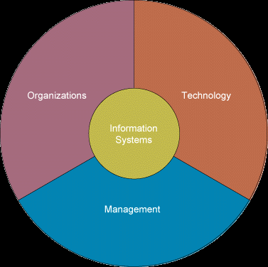 Pie chart to illustrate the impacts of information systems on the record store business.