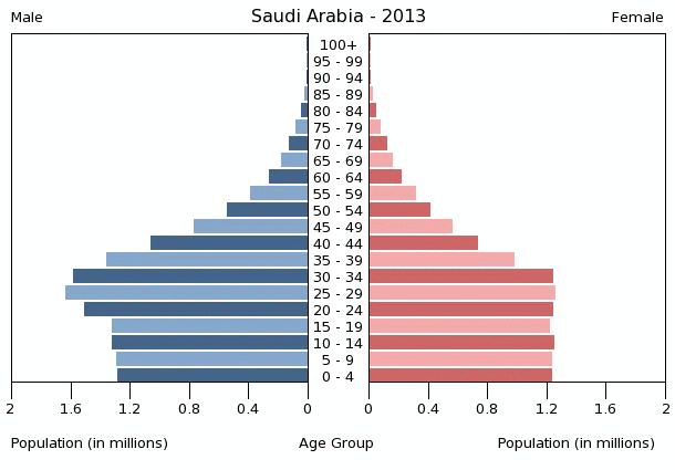 Population in Saudi Arabia 2013 diagram.