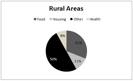 The pie chart demonstrates proportion housing, food, health and other program contacts in Rural Area.