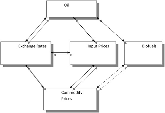 Relationship among oil, commodity prices, biofuels, and exchange rates.
