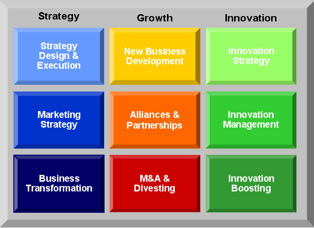 Strategy, Growth and Innovation diagram.