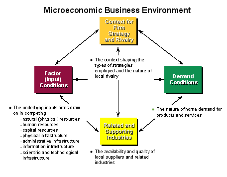 Macroeconomic Business Environment.
