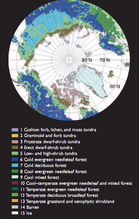 Natural vegetation in the arctic and surroundings.