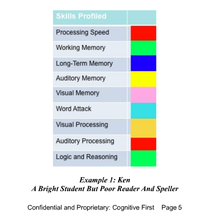 Colour code for the nine cognitive skill areas Chart.