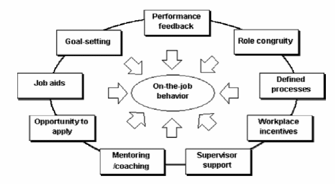 The workplace factors that affect performance.