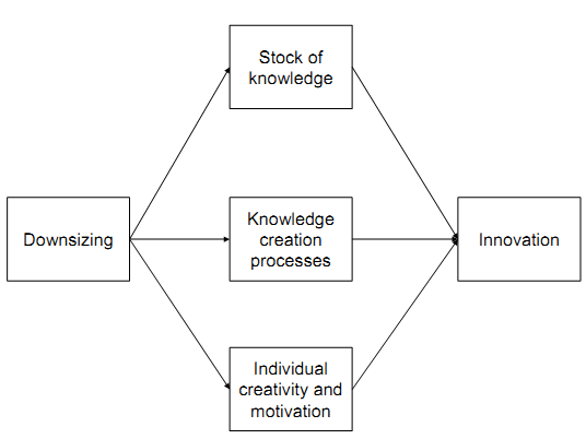Downsizing knowledge creation process.