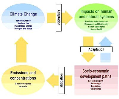 The diagram illustrating a mitigation and adaptation model.