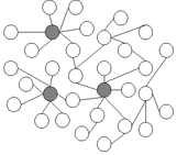 The General Structure of Scale Free Network where Highest Degree Nodes are Highlighted