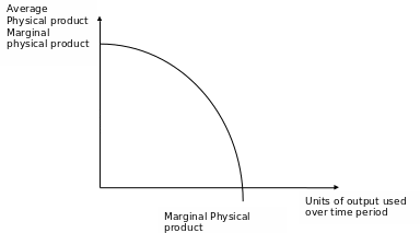 Marginal physical product curve.