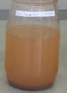 Moringa seeds used to enhance the filtration process.