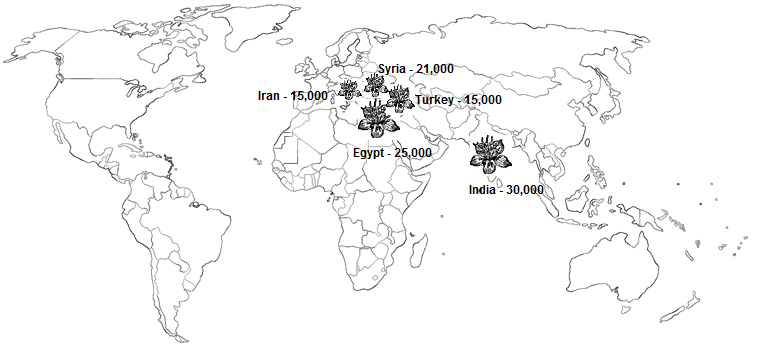 World Map of Cumin Production