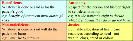 The principles of medical ethics.