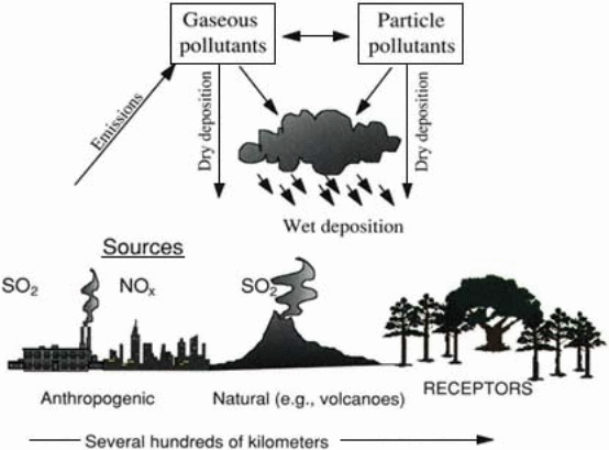 Formation of Acid rain from Factory Emissions