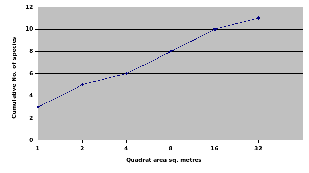 The Relationship between the Cumulative Number of Species and the Quadrat size for Area 1