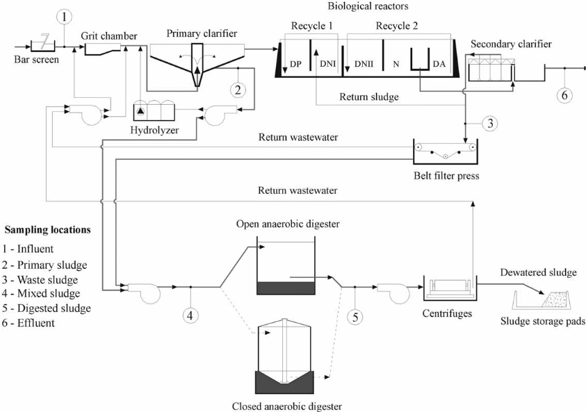A diagrammatic scheme of a biological wastewater treatment system
