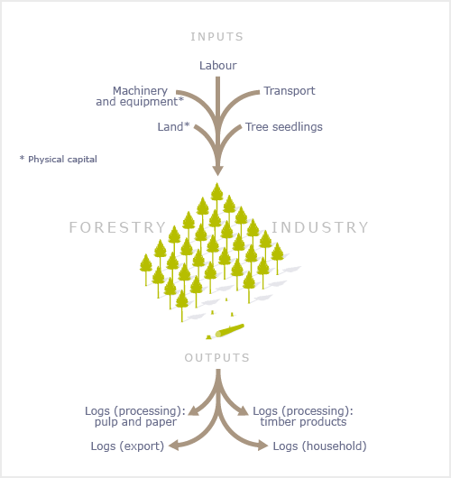 Inputs and Output of Forestry Industry.