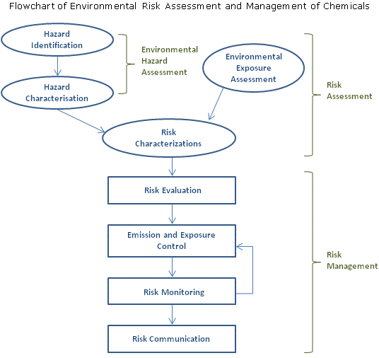 Flowchart of enviromn ental risk assessment and management of chemicals