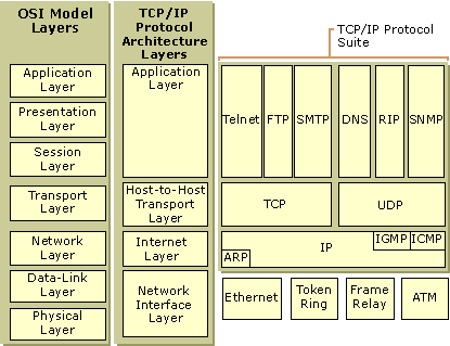 Comparison of TCP/IP and OSI Model Layers