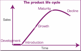 McDonald’s Product Life Cycle.