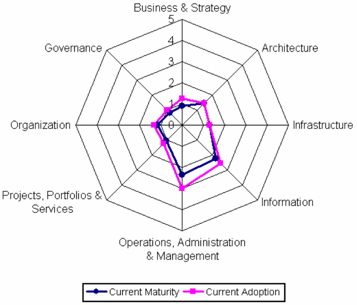 A typical example of the use of the capability maturity models