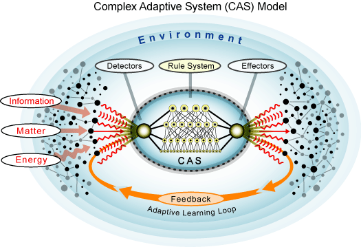 Complex adaptive system CAS Model.
