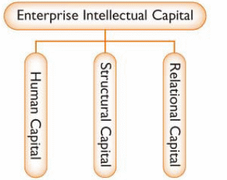 Categories of intellectual capital.