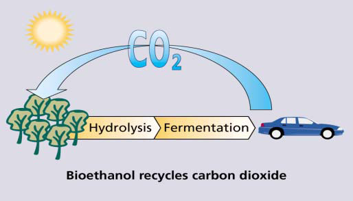 Bioethanol recycles carbon dioxide.