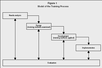 Model of the Training Process.