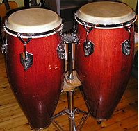 The conga drums.