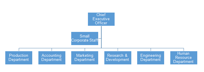 The functional structure comprises of a central CEO, small corporate staff and various organizational managers.
