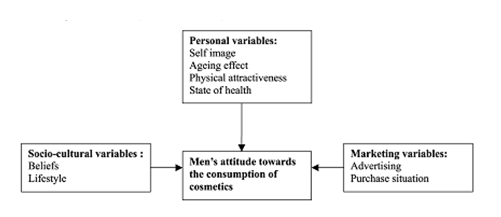 The marketing variables and how they influence the consumption of men’s cosmetic products.