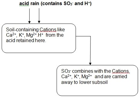 Acid rain scheme.