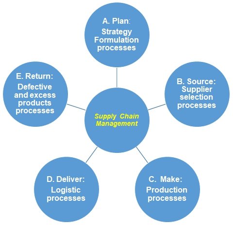 Basic components of SCM.