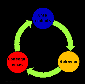 The change in behavior as a result of operant conditioning.