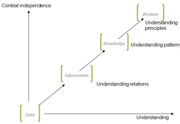 A diagrammatic representation of how knowledge is processed in the organization