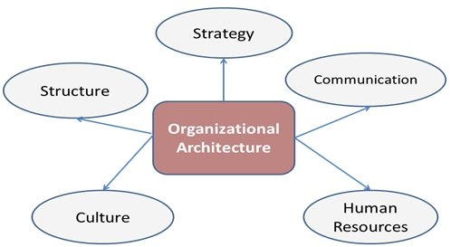 Main elements of the organisation architecture.