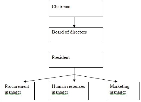 The Ricker company Organisational structure.